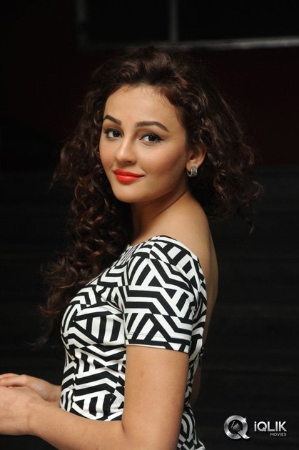 Seerat-Kapoor-at-Tiger-Movie-Success-Meet